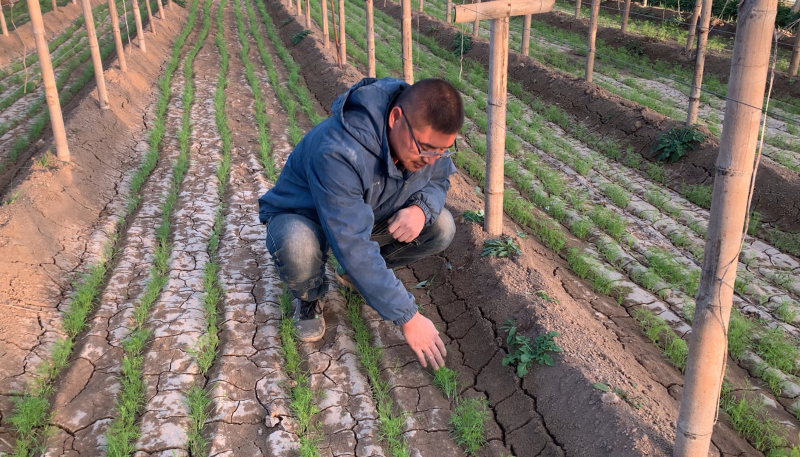 救災(zāi)應(yīng)急貸1